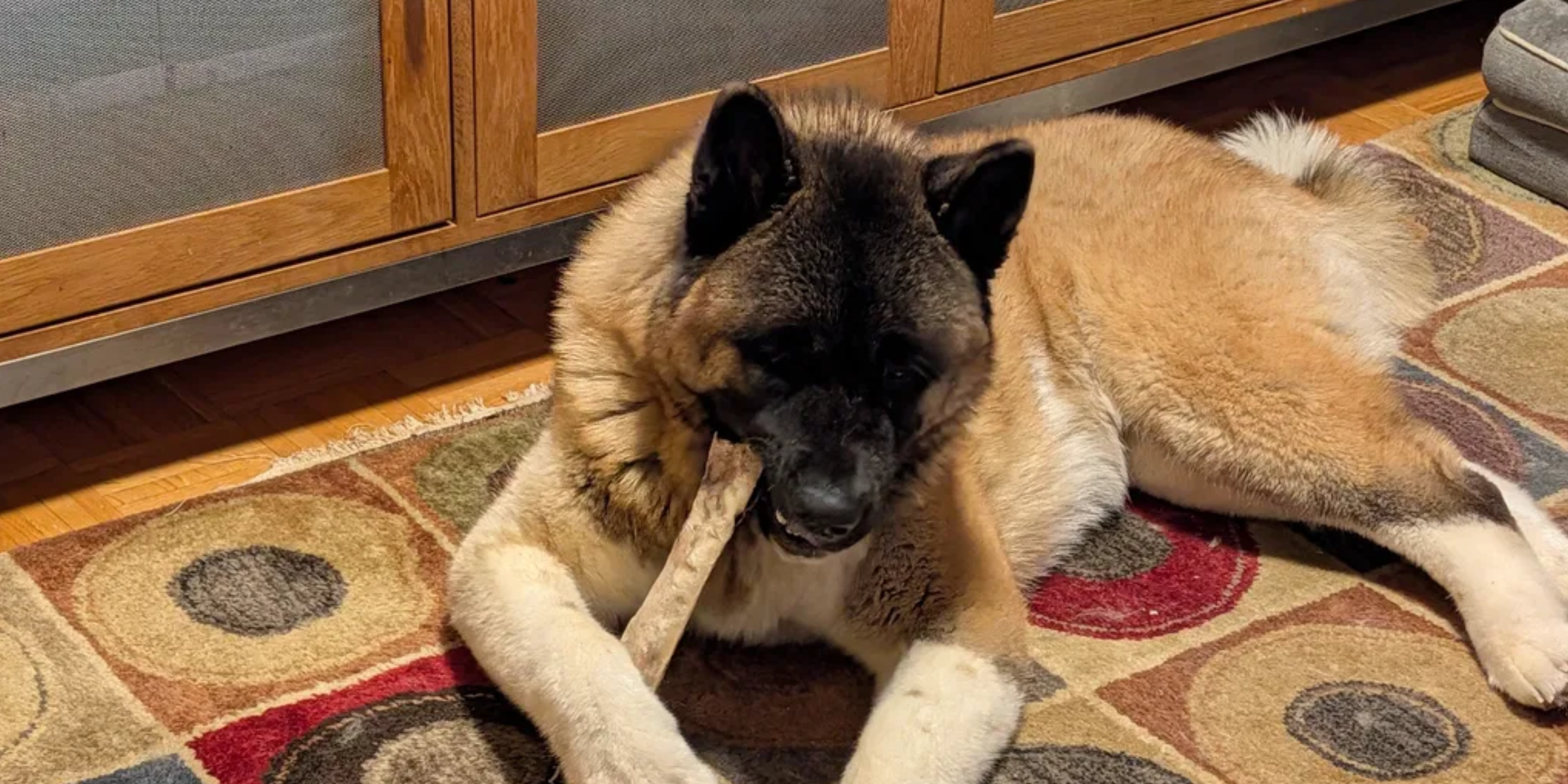 Best All Natural Treats