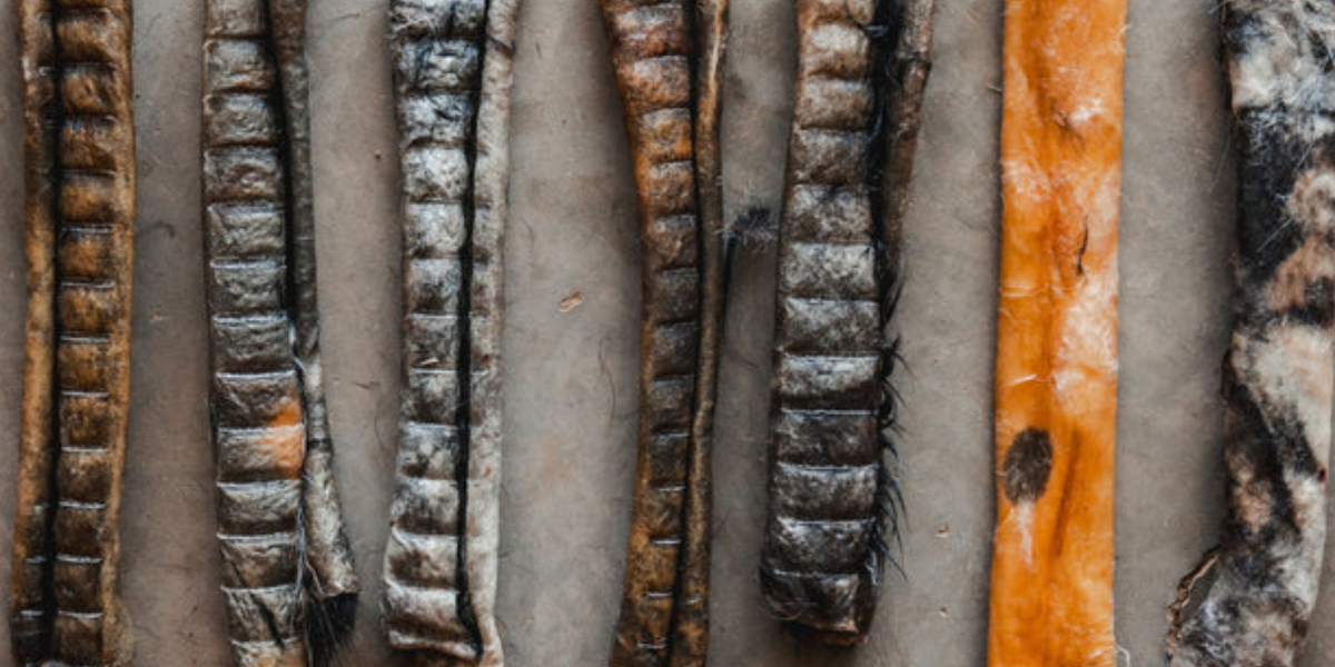 Safe Long Lasting Chews for Dogs: Essential Safety Features to Look For