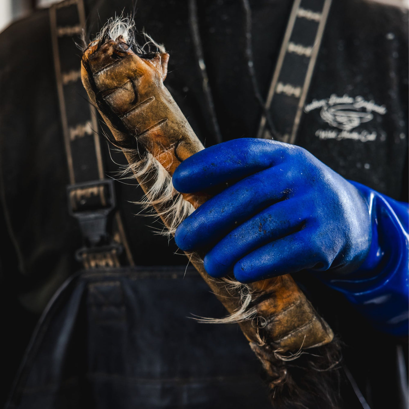 Large hair-on beef hide dog chew from Ugly Chews