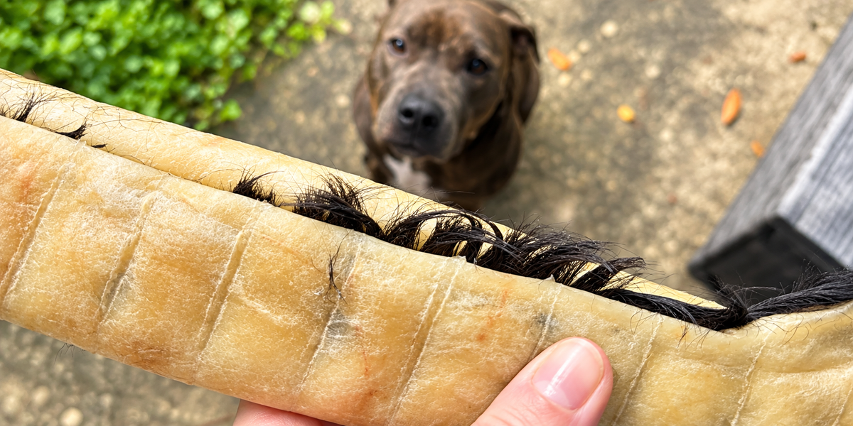 Healthy Handmade Natural Dog Treats