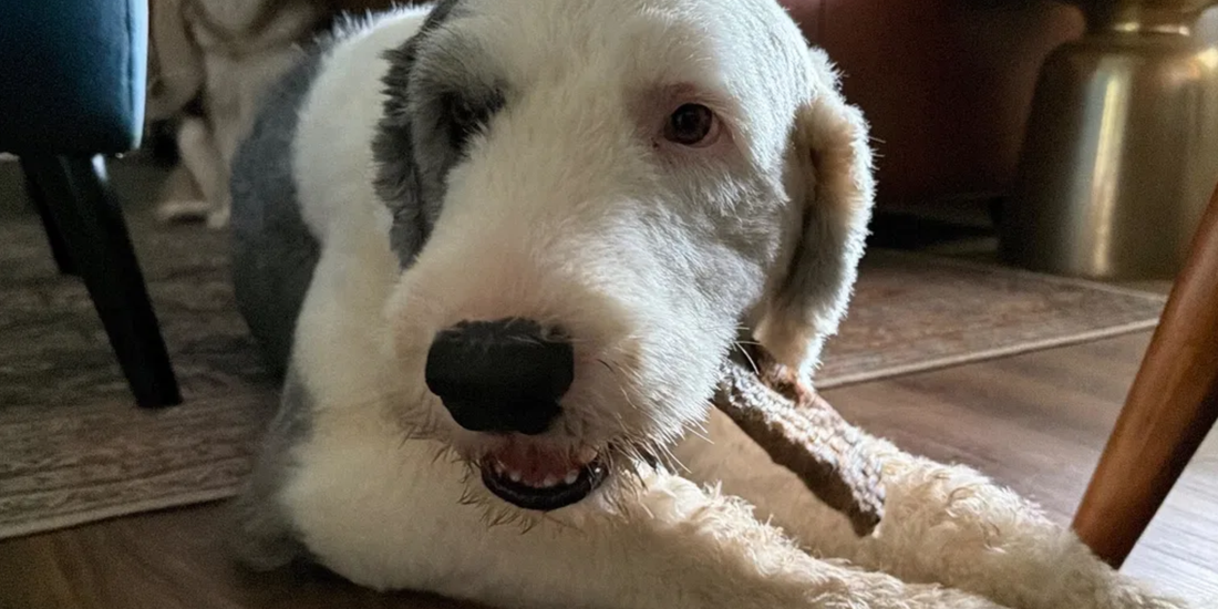 Natural Dog Chews
