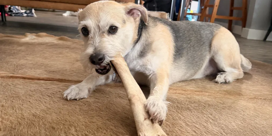 Rawhide Bones for Dogs
