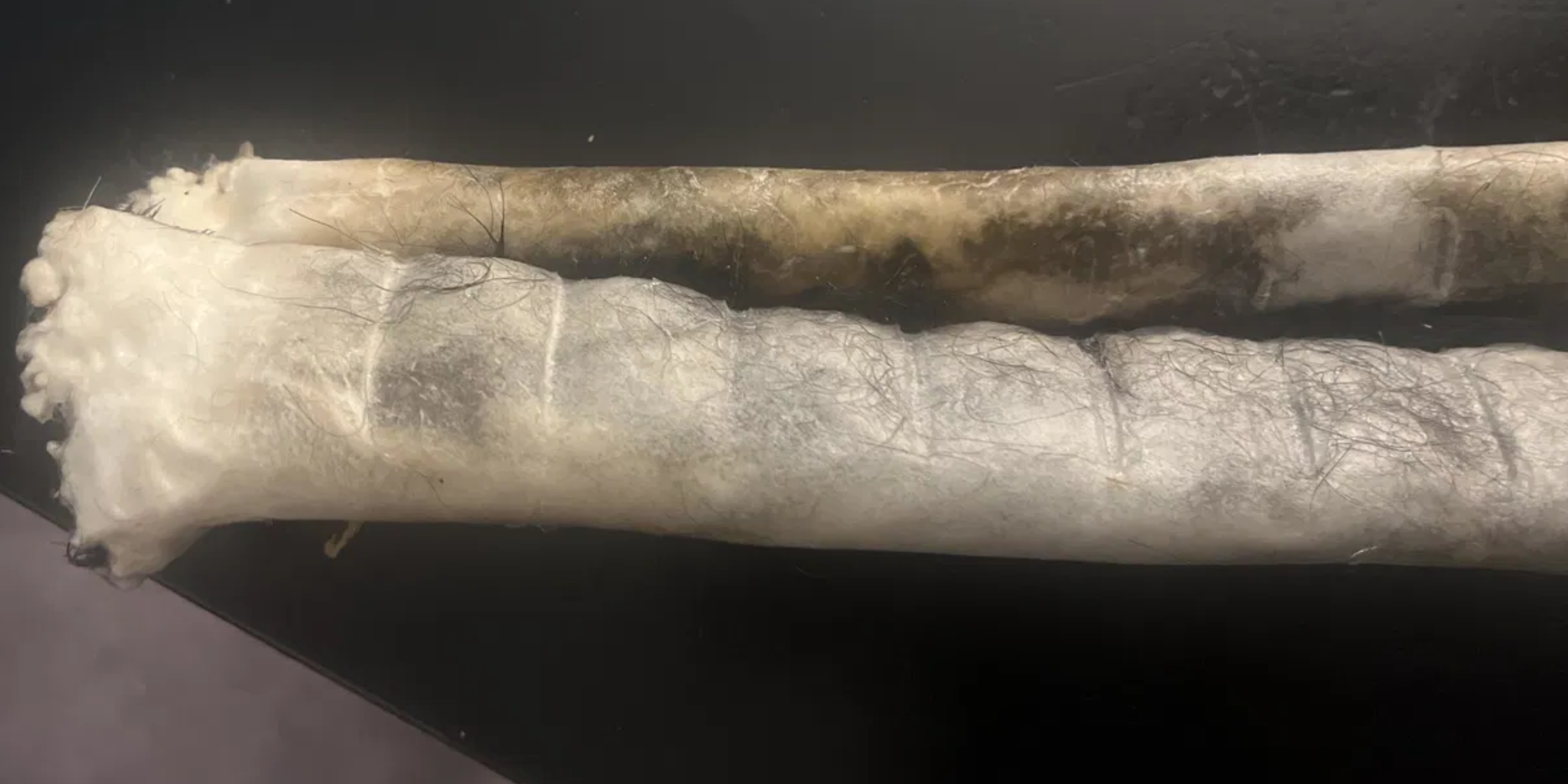 Safe Dog Chews