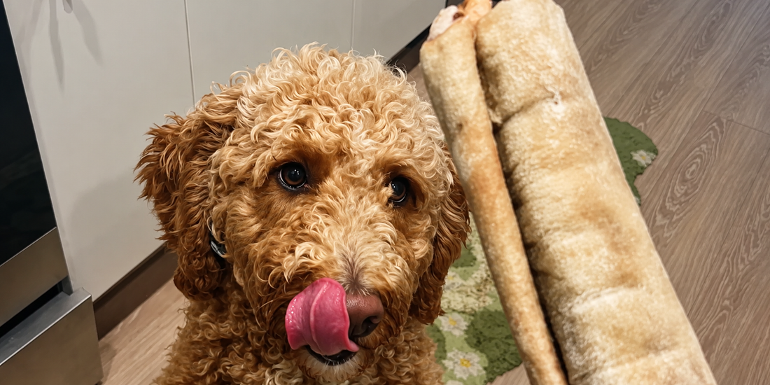 What Are Single Ingredient Dog Treats
