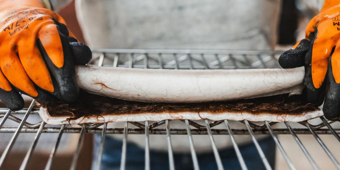 Are Beef Hide Chews Worth It? Safety, Digestion & Better Options