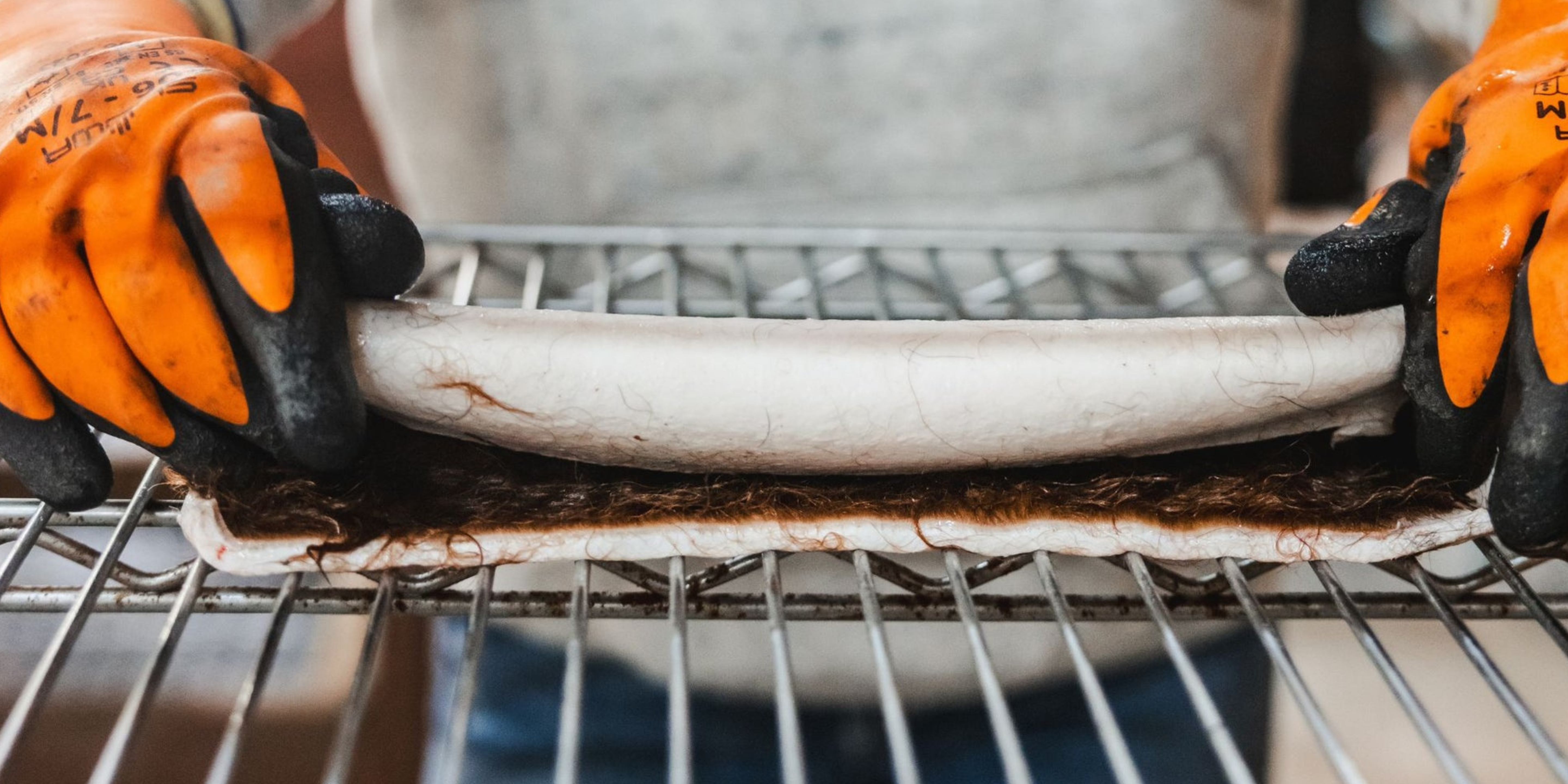 Are Beef Hide Chews Worth It? Safety, Digestion & Better Options