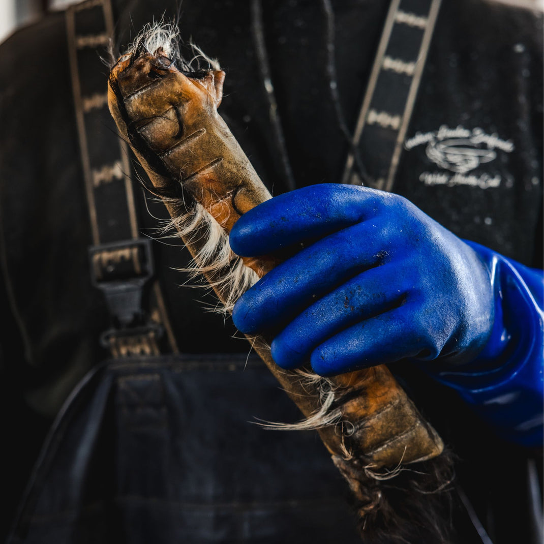 Rawhide vs Beef Hide: 1 Key Difference in Dog Chews – Ugly Chews
