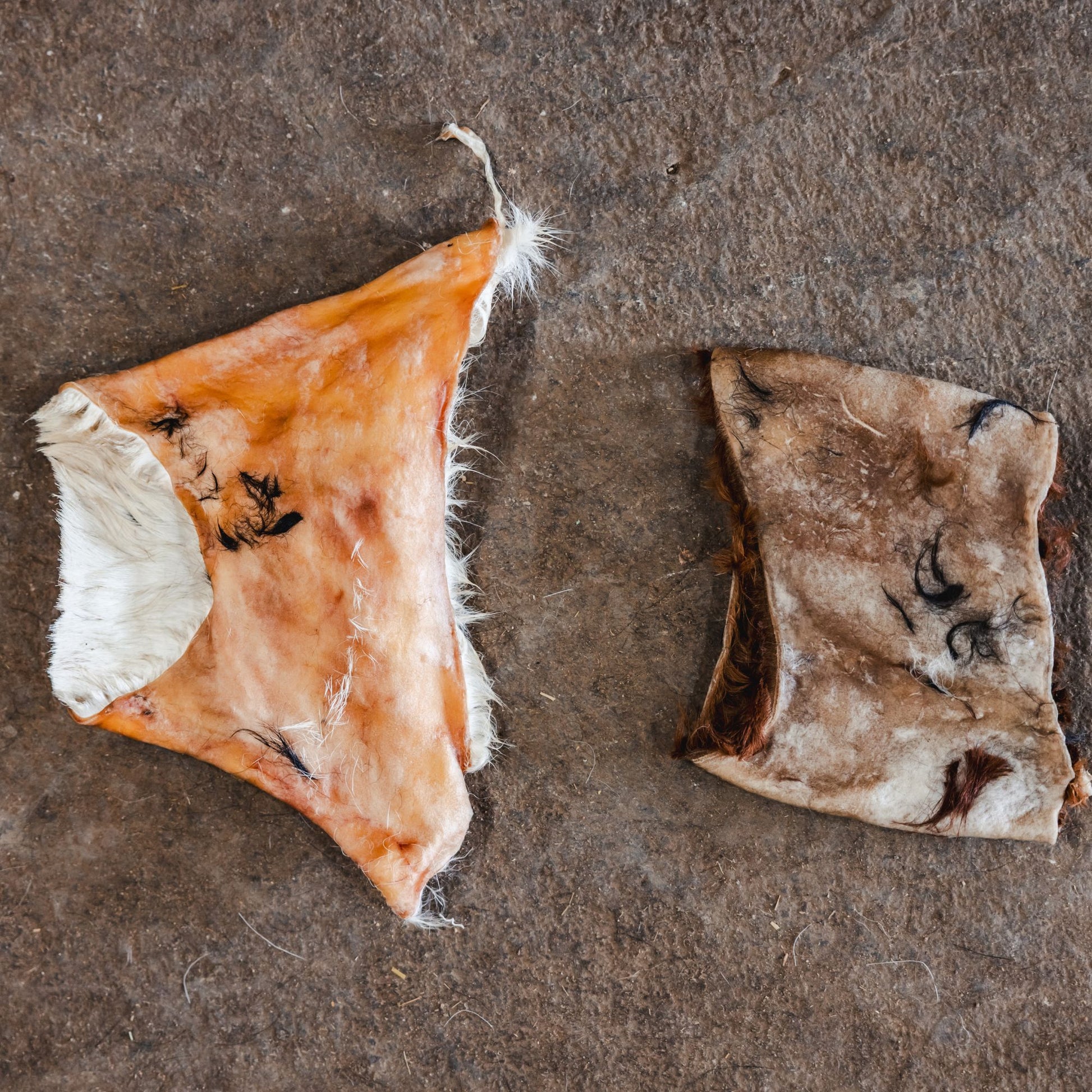 Hair-on beef chew roll perfect for power chewers