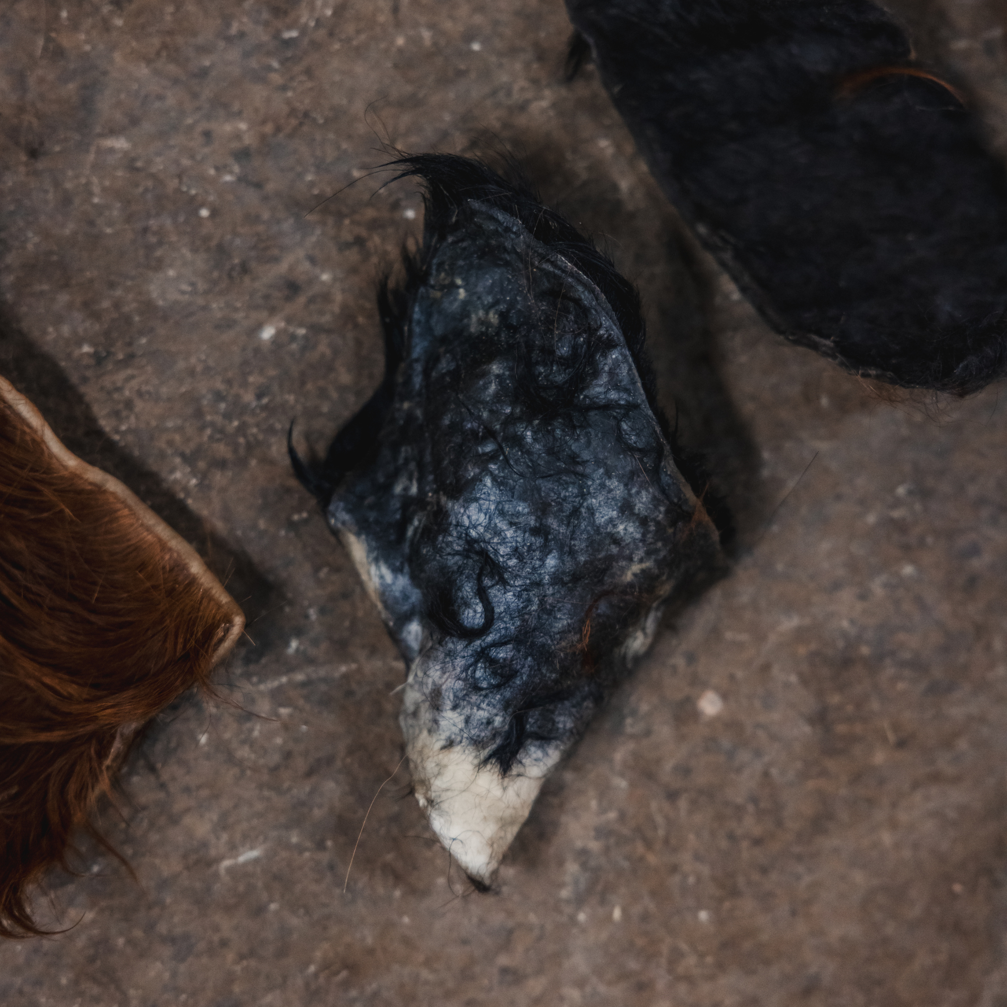 Sustainable dog treats made from leftover beef hide scraps