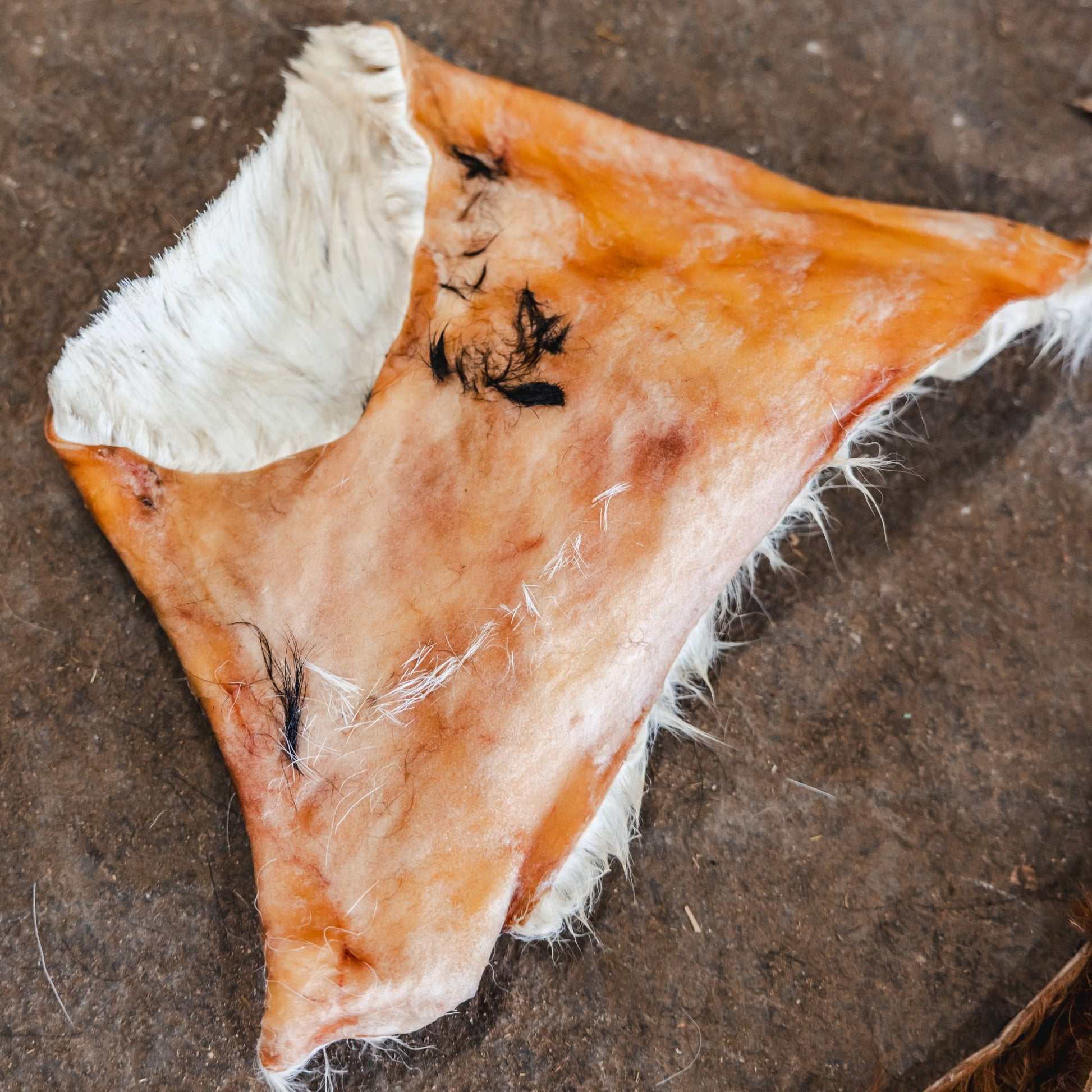 Natural tubular beef hide chew for dogs with no chemicals