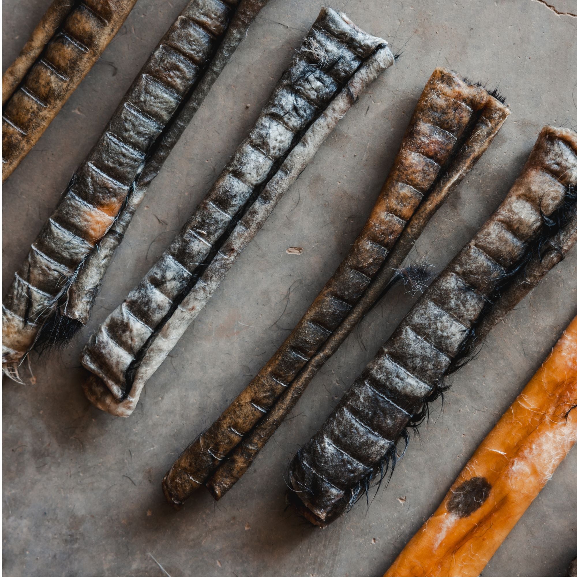Ugly Chews thin hide dog treats for puppies and seniors