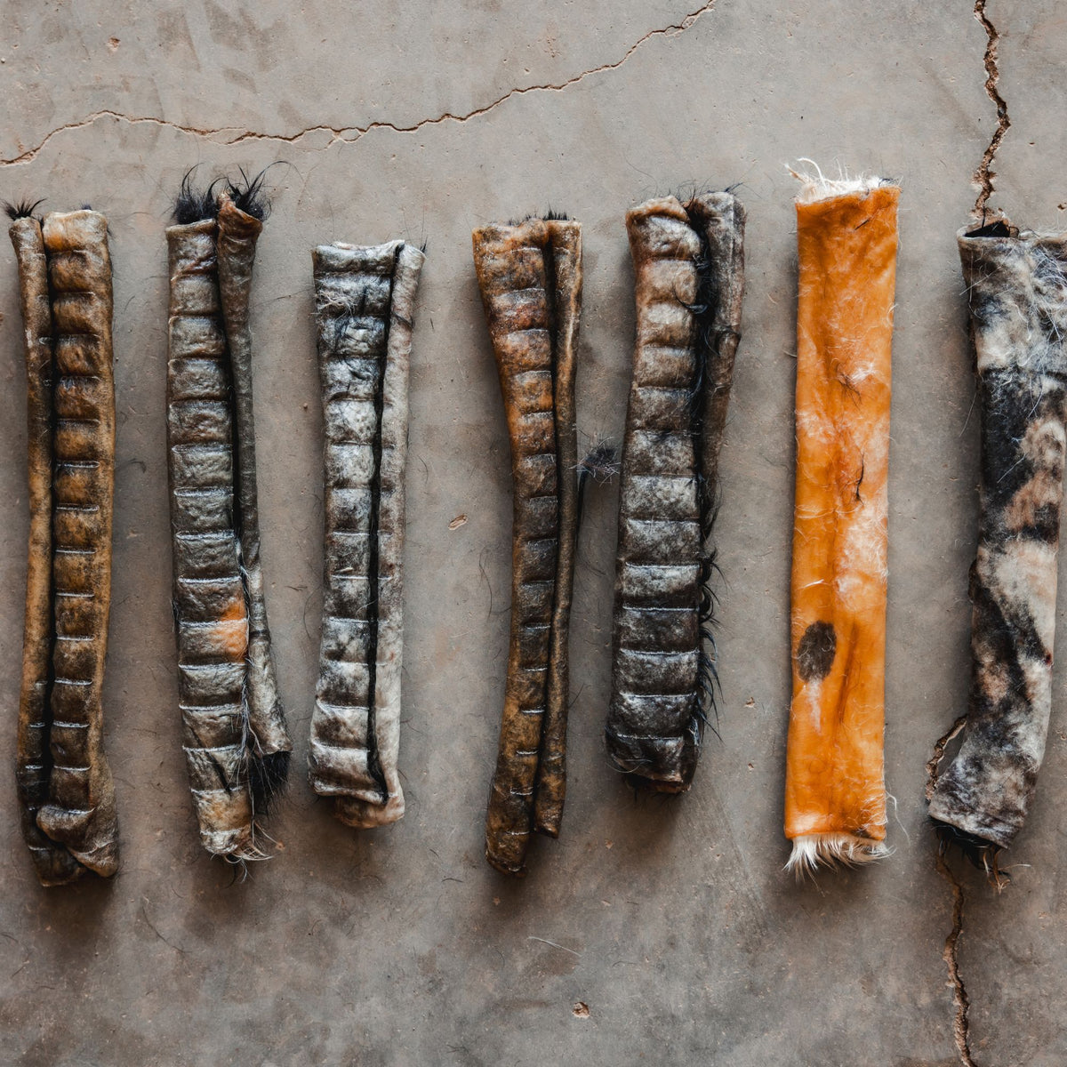 Rawhide vs Beef Hide: 1 Key Difference in Dog Chews – Ugly Chews