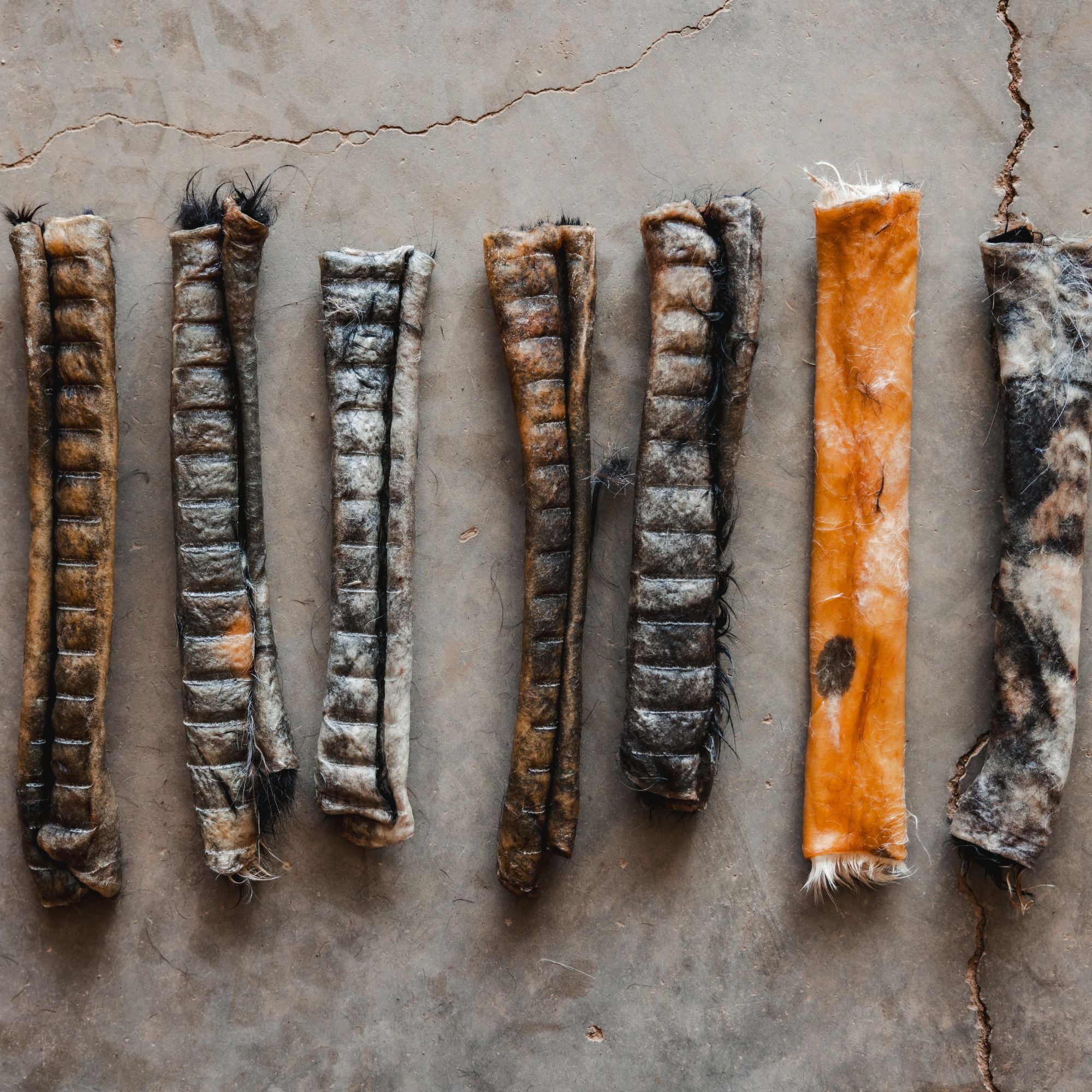 Close-up of soft, thin beef hide chew from Ugly Chews