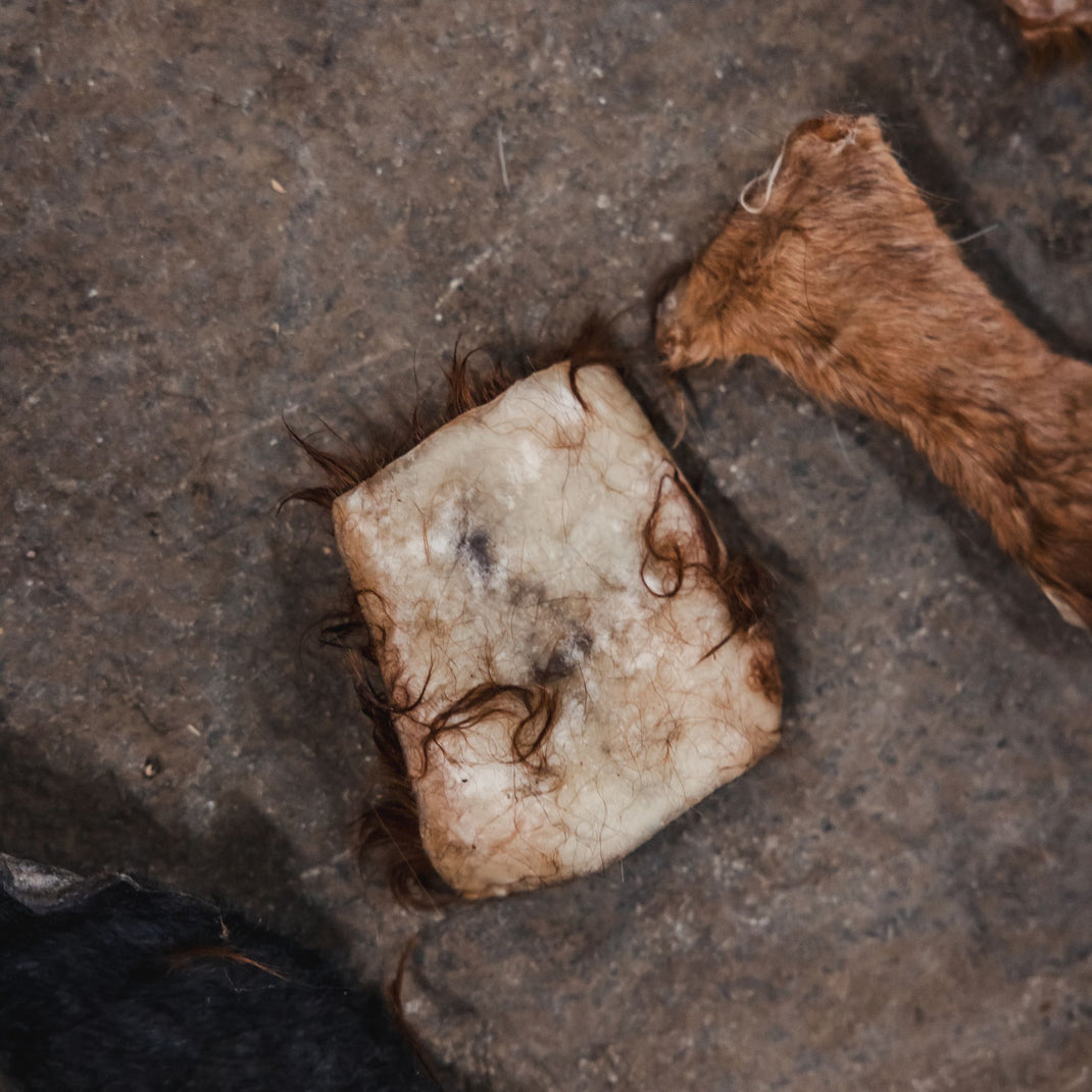 Rawhide vs Beef Hide: 1 Key Difference in Dog Chews – Ugly Chews