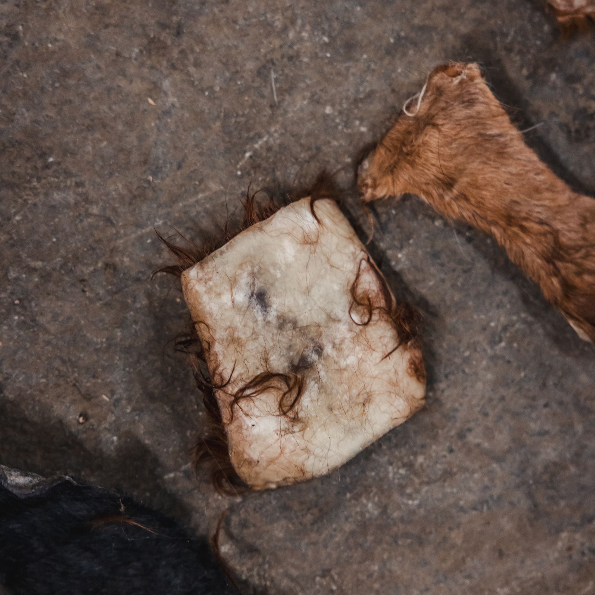 Sustainable dog treat variety pack from Ugly Chews