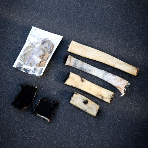 Ultimate Sample Bundle